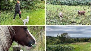  A walk along the golf course and Debby has a new hobby