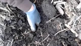 Metal Detecting Garrett AT Pro #1 Ghost Town 2016