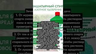 НАШАТЫРНЫЙ СПИРТ Универсальная подкормка и защита растений от вредителей.