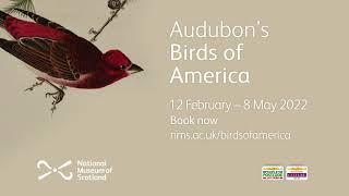 Audubon’s Birds of America trailer