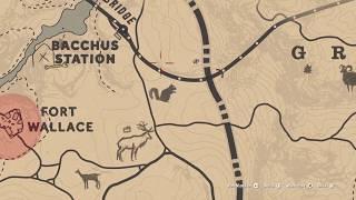 Red Dead Redemption 2 Legendary Elk Location