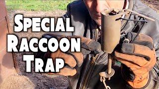 #211 Special Raccoon Trap | At The Ranch