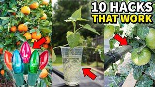 The 10 BEST Money Saving GARDEN HACKS That Actually Work