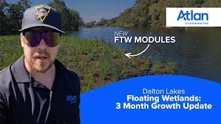 Dalton Lakes Floating Wetlands: 3-Month Growth Update | Atlan Stormwater