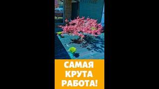 Преображение сада за 1 день!  #shorts #ландшафтныйдизайн #дом #дача #цветы #сад