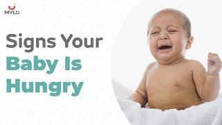 4 Signs That Babies Show When They Are Hungry | Baby Hunger Cues