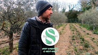 Agroforestazione e agricoltura sintropica con Gennaro Cardone - Agriturismo S. Lorica, Sassetta