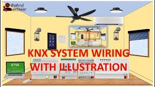 KNX System Wiring for a room with illustration | Electrical Engineering Basics