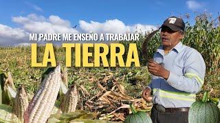 "YO TRABAJO A LA ANTIGUA CON MI TRONCO DE BURRITOS Y GRACIAS A DIOS LEVANTO BUENA COSECHA"