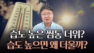 습도가 높으면 왜 더 더울까?