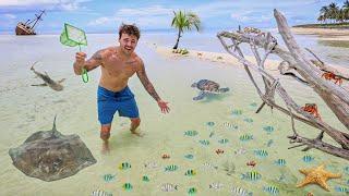 Finding SEA CREATURES on Remote Island 10 Miles from Land!! (Dangerous)