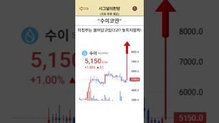 수이코인 지금 미정부는 쓸어담고있다고? 2차 폭등 놓치지 말자! #수이 #수이코인