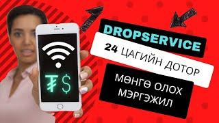 Интэрнэтээр мөнгө олох мэргэжил | Dropservice, 24 цагийн дотор мөнгө олох арга