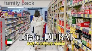 DUBAI  | Back to our usual routine at home, groceries, re-stocking | MiCHEL 