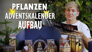 FEEY-flixt & zugeklebt! DAS ging beim Aufbau vom Feey Adventskalender schief! 