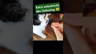 Herr Katzi unterbricht das Unboxing von der neuen Abo-Box.