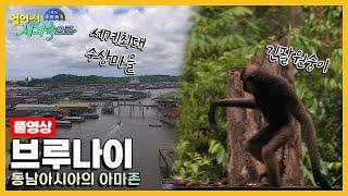 [걸어서세계속으로Full] 동남아시아의 아마존이라 불리는 황금의 제국 '브루나이' 여행 Trip to Brunei (KBS 20180512)