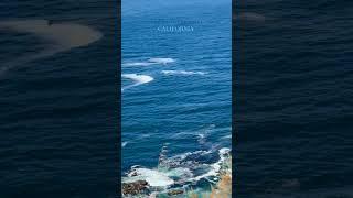 Pacific Coast Highway 1 #bigsur #pacificcoasthighway #highway1 #pchroadtrip #californiaroadtrip