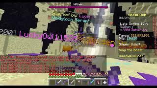 Enderman Slayer 50M EXP (Hypixel Skyblock)