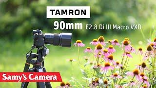 TAMRON 90mm f/2.8 Di III VXD Macro Lens First Look | Stunning Bokeh, Sharpness & Starburst Effects!