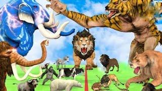 lion tiger attack save by cow buffalo   || animal fight || Jojo cartoon animals