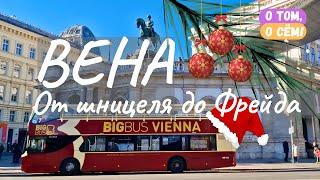 Вена: Арт-шедевры. Кулинарные приключения. Архитектурный экстаз. Рождественская элегантность.