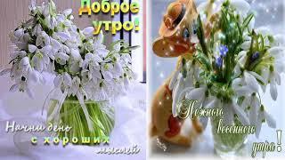 Доброго весеннего утра.  и хорошего настроения!!!»