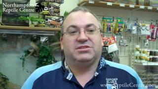 What's it like at Northampton Reptile Centre? Listen to what our customers have to say!