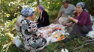 KÖY hayatı  fındık bahçesinde  yemek çok lezzetli