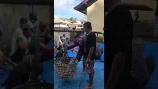 pembagian daging Qurban 1 keranjang