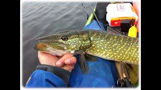 Using all our strength , skills and stamina . Loch Lomond special .