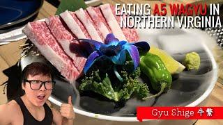 A5 Wagyu Beef in Northern Virginia! | Gyu Shige 牛繁