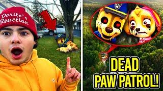 DRONE CATCHES DEAD CHASE & SKYE FROM PAW PATROL!! (HELP THEM)