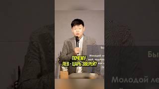 Почему лев - царь зверей? Бытие‬ ‭49‬:‭9‬ ‭#корея #лев #царь #pastormaksim