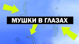 ЧЕМ ОНИ ОПАСНЫ? ВСЯ ПРАВДА О ПЛАВАЮЩИХ МУШКАХ / (об этом никто не говорит)