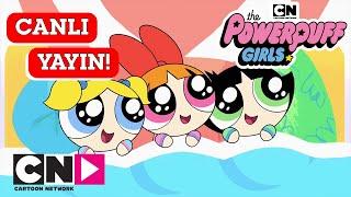  CANLI  | POWERPUFF GIRLS | 1. ve 2. Sezon | Cartoon Network Türkiye