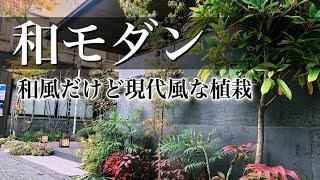 【和モダンな植栽】和風だけど現代風でオシャレなお庭  植えられている植物をご紹介