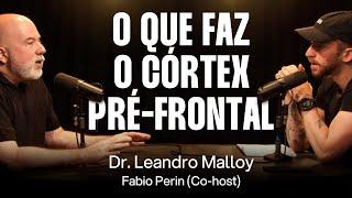 Dr. Leandro Malloy e Fabio Perin: Funções Executivas e Neuropsicologia [Ep. 055]