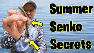 Summer Senko: Insider Tips Revealed