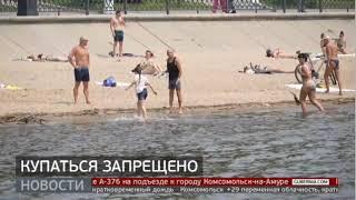 Купаться запрещено. Новости. 05/07/2024. GuberniaTV