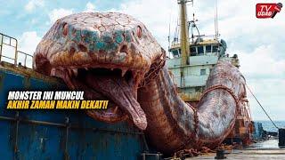 Hundreds of Years Old Giant Snake Monster Appears in the Middle of the Sea, Shocking the World...