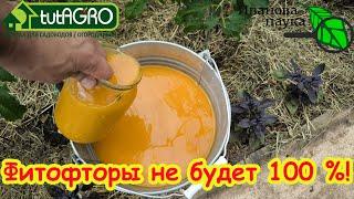 ОРАНЖЕВЫЙ РАСТВОР - СУПЕР СРЕДСТВО ОТ ВСЕХ БОЛЕЗНЕЙ И ВРЕДИТЕЛЕЙ! Испытайте мощь ПРИРОДНОГО СРЕДСТВА
