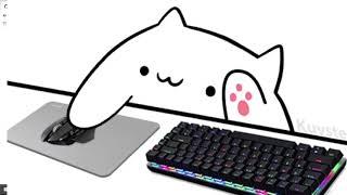 How To Connect Bongocat as A Camera on Discord (Easy)