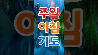 주일 아침 기도  #주일#아침#기도 #오늘