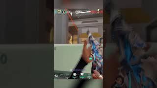 Unexpected Radiant Sage Clutch 