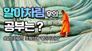 알아차림 그후의 공부는 / 초월성에 묶이지 마라