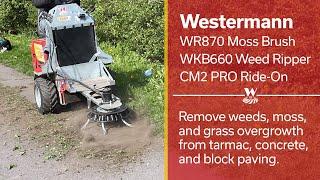 Westermann - Sweep and Clean - Moss and Weeds removal