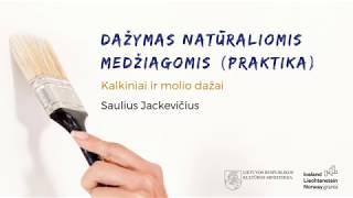 DAŽYMAS (praktika). Kalkiniai ir molio dažai