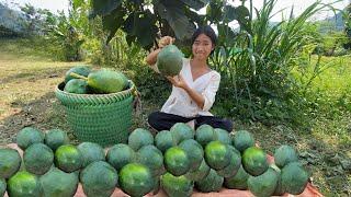 Orphaned girl hoeing vegetable beds and picking green papaya to sell