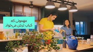 مهمونی که کباب ترش می خواد